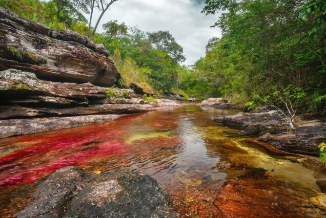 3-Day Trip to Caño Cristales from Bogota