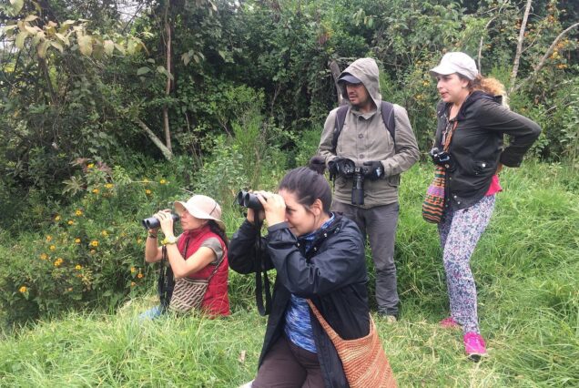 Birdwatching Private Tour at Chicaque Natural Park with Lunch