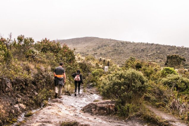 Chingaza National Park Day Tour from Bogotá: Andean Wilderness