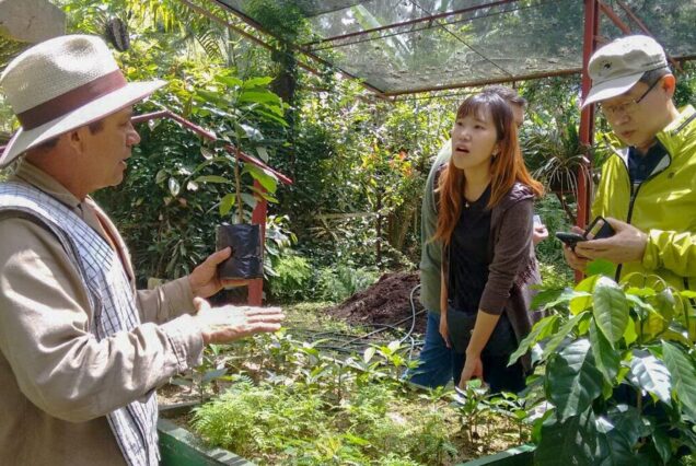 Coffee Plantation Tour From Bogota