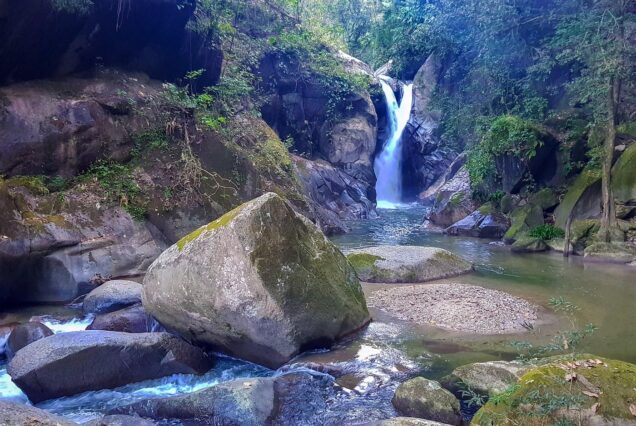 Full-Day Hiking Tour in Minca with coffee & Cocoa Workshop