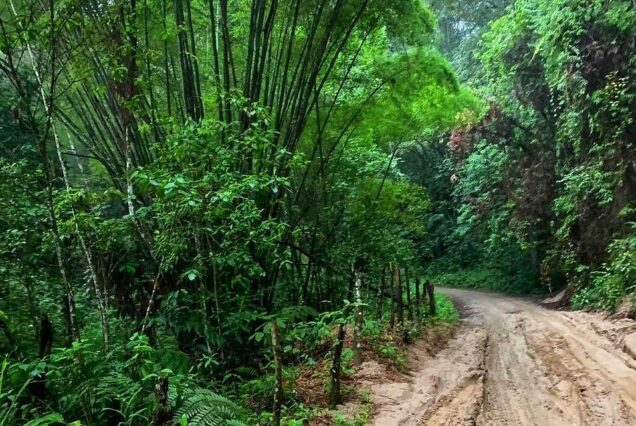 Minca - Coffee And Cocoa Tour