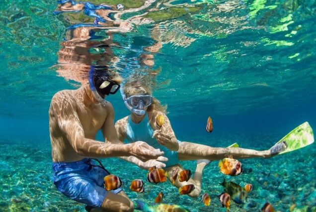 5-Island Speedboat Tour in Cartagena and the Rosario Islands